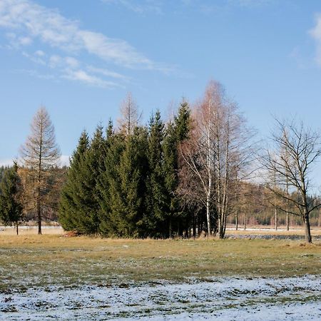 Alicjowka - Domek Marciszow Екстериор снимка