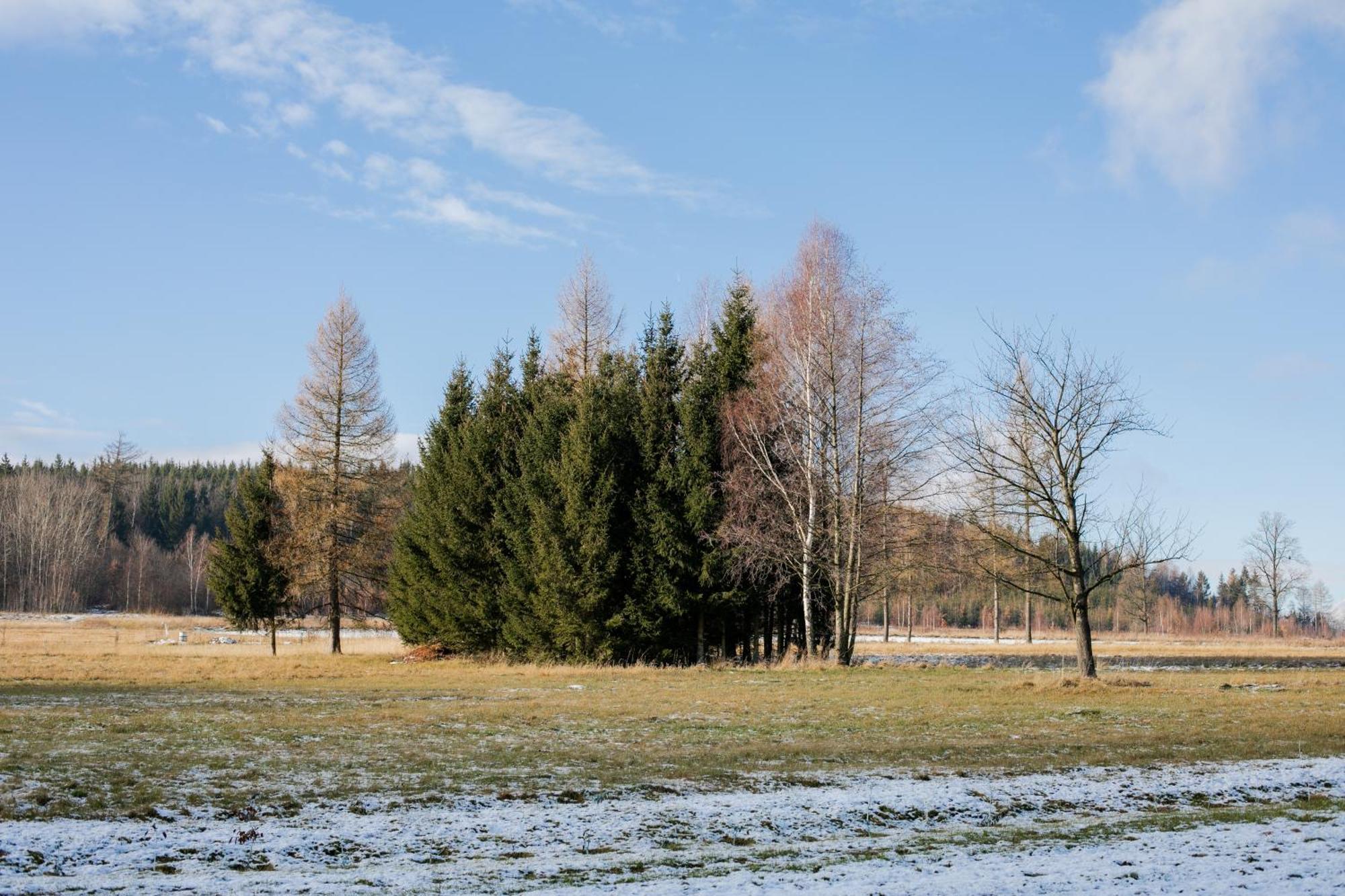Alicjowka - Domek Marciszow Екстериор снимка